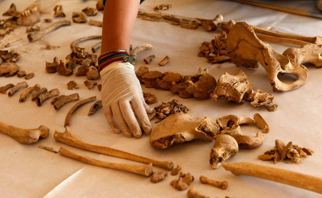 En México, la osteología es importante porque nos permite acercarnos al conocimiento de nuestros antepasados. (FOTO: Archivo EL UNIVERSAL)