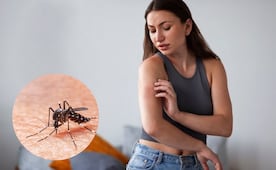 ¿Cómo alejar a los mosquitos durante esta temporada de lluvias?; descubre cómo preparar un repelente casero
