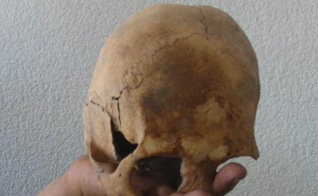No han dudado en echar mano de su imaginación al resaltar que el cráneo parece de extraterrestre. Foto: Archivo