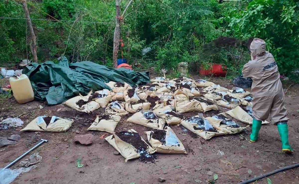 Labores de la Marina para desinstalar un laboratorio clandestino de metanfetamina en Sinaloa (02/09/2026). Foto: Marina