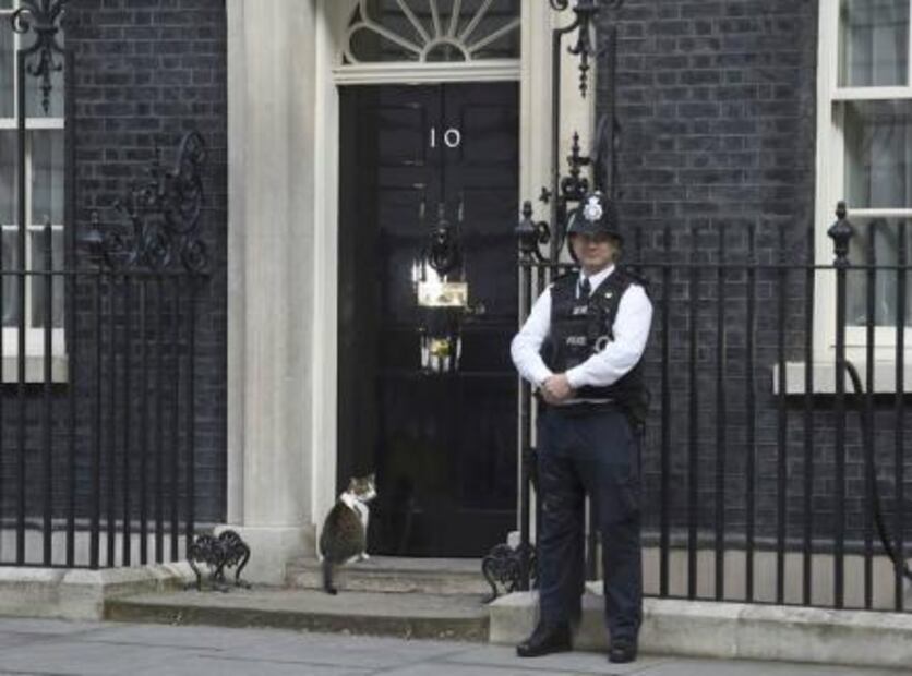 Cameron se va, pero Larry el gato cazaratones se queda