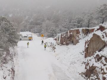 Más de 21 municipios de Chihuahua se visten de blanco por nevadas; activan 31 refugios temporales