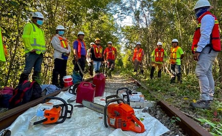 “Es un abuso”: Celebran y critican haber declarado al Tren Maya como obra de seguridad nacional 