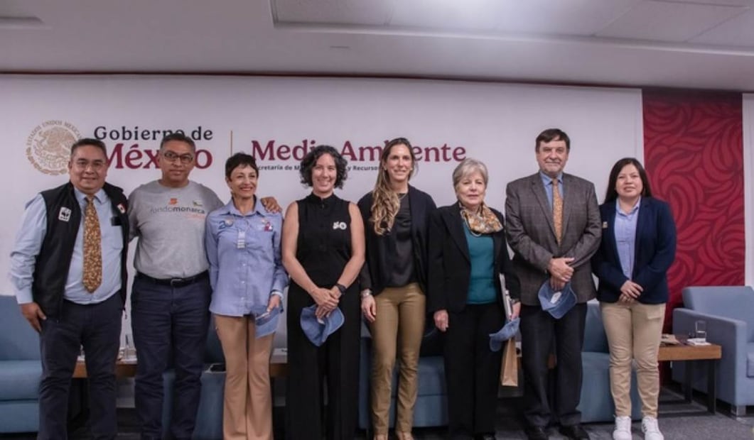 Semarnat, Conanp y WWF México anunciaron un incremento del 64% en la presencia de la mariposa Monarca en los bosques mexicanos de hibernación durante la temporada 2025-2026. Foto: Especial