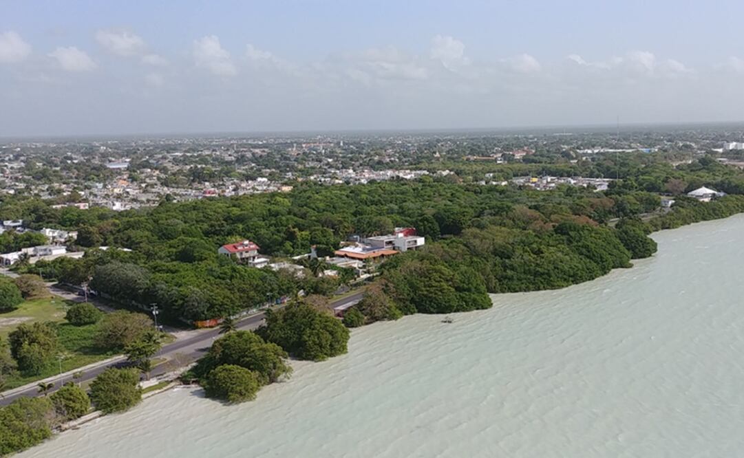 Foto: Adriana Varillas / EL UNIVERSAL