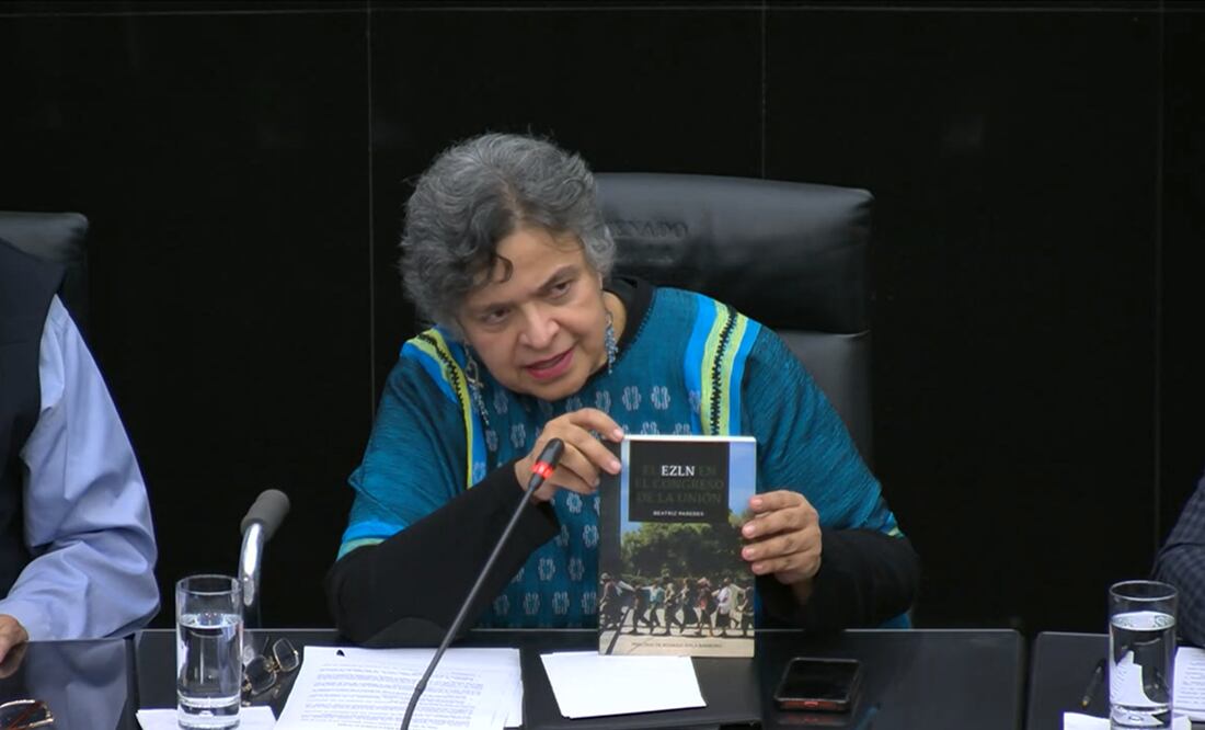 Foto: Captura de video Twitter @senadomexicano