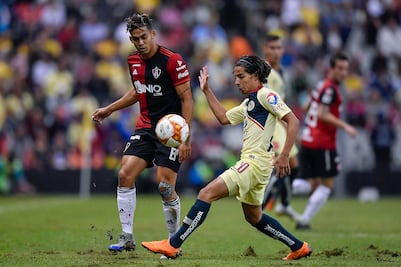 ¿Qué es el problemático pasto híbrido?