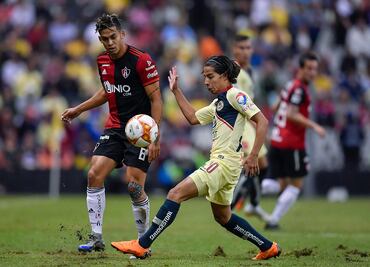 ¿Qué es el problemático pasto híbrido?