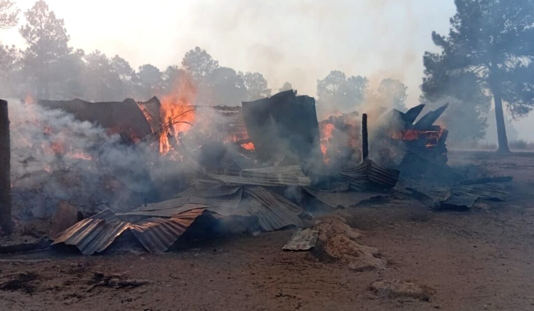 Incendios forestales continúan afectando a Chihuahua; solicitan aplicar el plan DN- III. Foto: especial