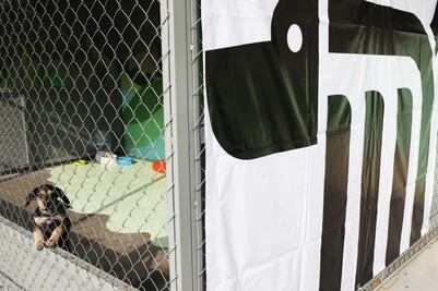 Metro se une a la labor de rescate de caninos