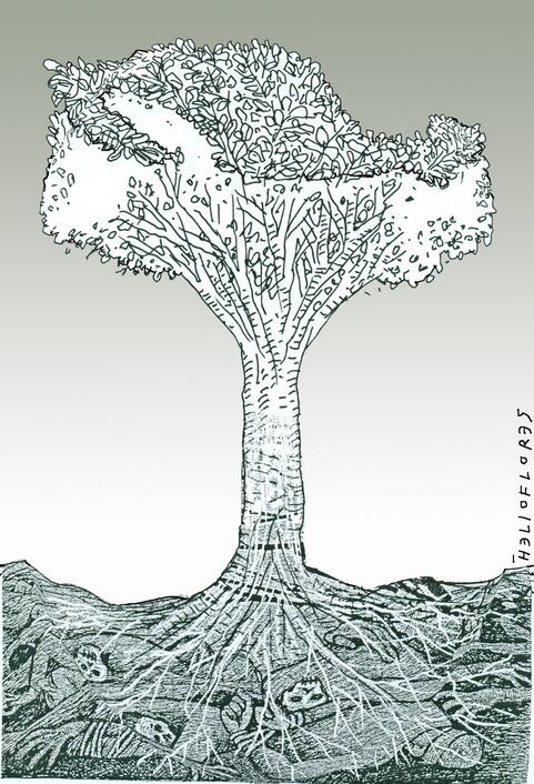 Cartón de HELIOFLORES