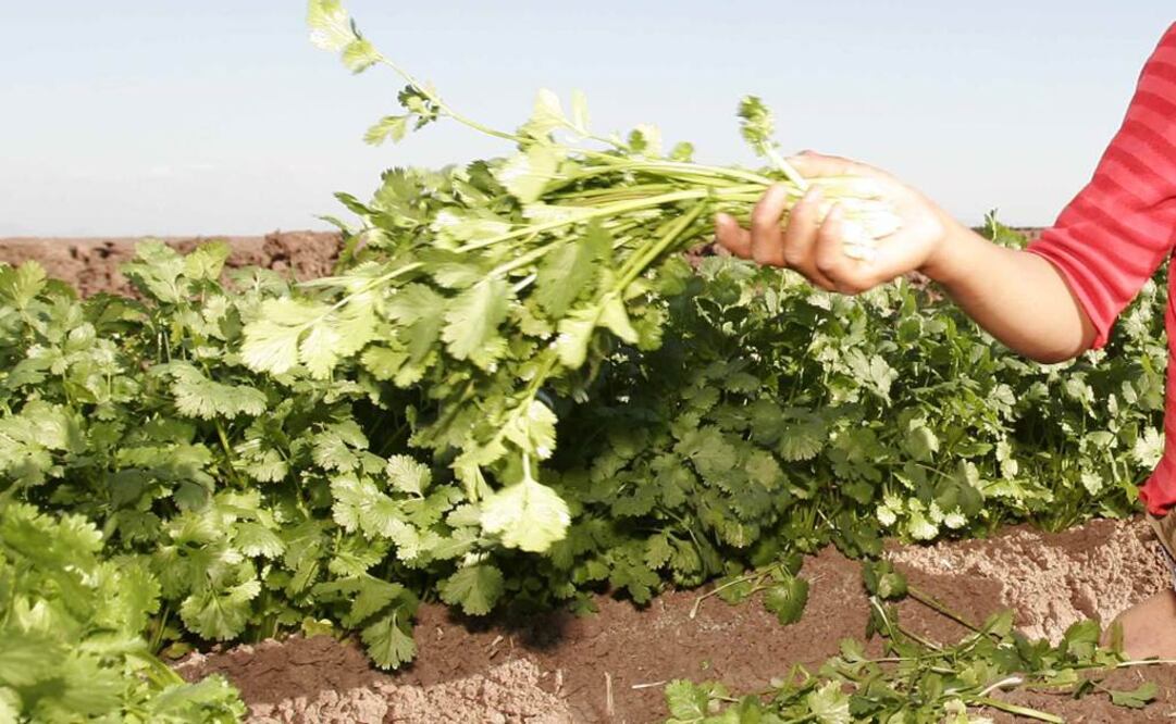 Foto: Archivo EL UNIVERSAL