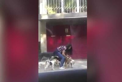 Cuidadora golpea perros en Polanco