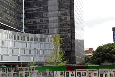 Buena señal que ahuehuete muestre hojas verdes