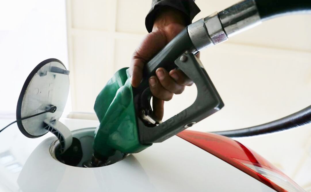 Foto: Ariel Ojeda / ELUNIVERSAL