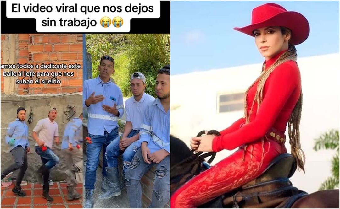 El video cuenta con 13.3 millones de reproducciones, más de 696 mil “likes” y con diversos comentarios por parte de usuarios de la red social. Foto: TikTok. @lospanas8915