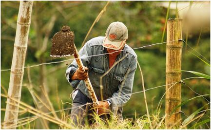 Campo enfrenta “embestida” climática, recortes presupuestales y reforma eléctrica, denuncia sector