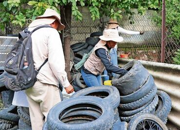Alerta por dengue en Morelos: suman 27 muertos y refuerzan operativo
