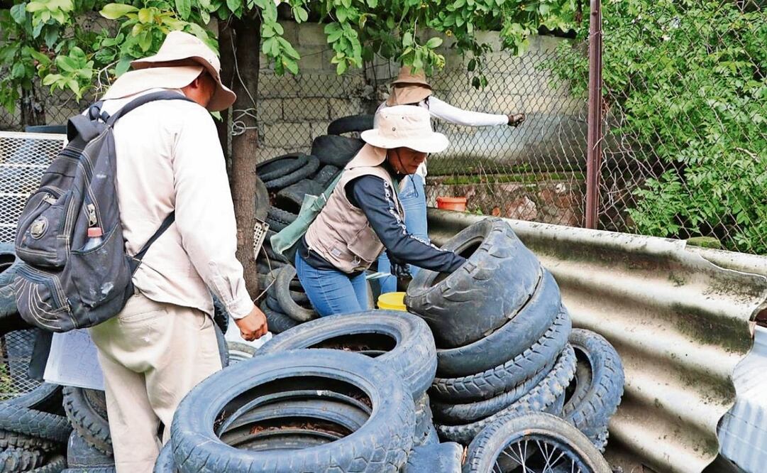 El megaoperativo contra el dengue se realiza en los municipios de Jojutla, Jiutepec y Cuernavaca. Foto: Especial
