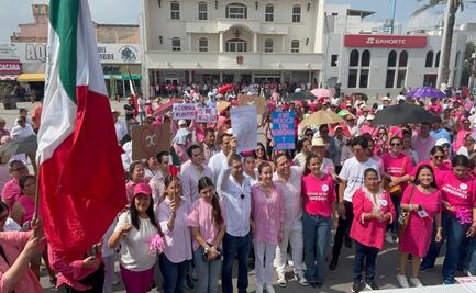 Marea Rosa convoca a otros estados a manifestarse en los Congresos locales el 8 de septiembre