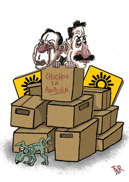 Cartón de FER