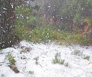 Frente frío ocasionará lluvias en los estados del sureste