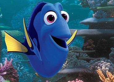 ¿Qué tipo de pez es Dory?