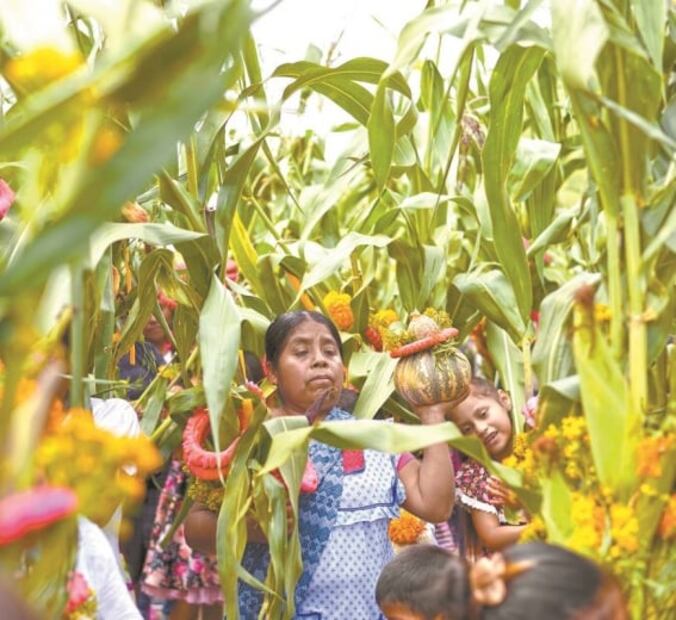 Covid-19 no frena el baile tradicional a la milpa