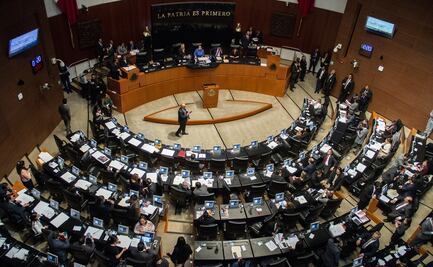 Senadores del PAN impugnan elección de Rosario Piedra en la CNDH