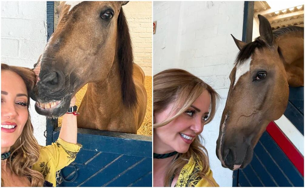 Andrea Legarreta comparte momentos con el nuevo integrante de la familia