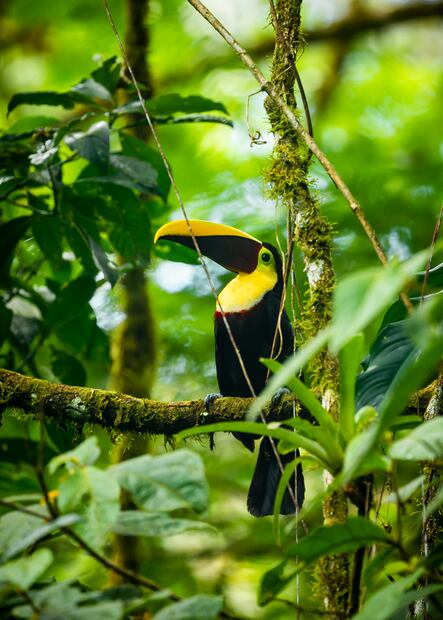 Foto: Instituto Costarricense de Turismo