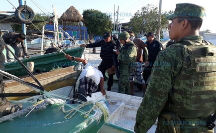 Aseguran 300 kilos de pulpo en veda en Yucatán; hay un detenido