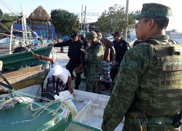 Aseguran 300 kilos de pulpo en veda en Yucatán; hay un detenido