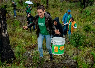 Iniciativa privada impulsa el cuidado de los bosques con campañas de reforestación