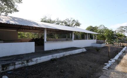 Rescatan en ranchería de Tabasco a hombre secuestrado tras operativo; aseguran animales exóticos y armamento