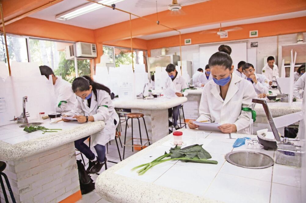 Todas las actividades científicas del primer trimestre fueron suspendidas y analizan ampliar el periodo ante la falta de recursos (CORTESÍA: AMC)