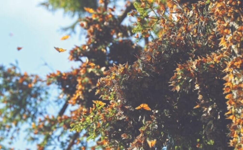 Descubre 5 maravillas naturales en el Estado de México