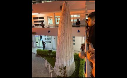 Obligan a alumnos a pagar por Árbol de Navidad... y ¡parece elote!