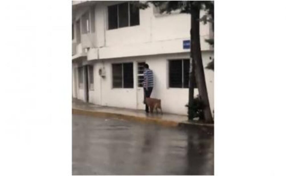 Video. Arrastran a perro bajo la lluvia en Puebla