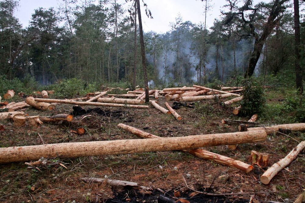 Foto: Archivo / EL UNIVERSAL