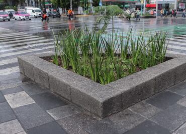 Concluyen trabajos de rehabilitación de banquetas en Insurgentes Norte para mejorar movilidad