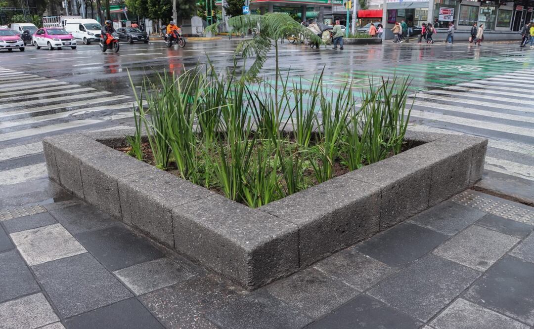 Concluyen trabajos de rehabilitación de banquetas en Insurgentes Norte para mejorar movilidad. Foto: Especial