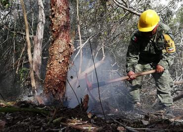 Sofocan totalmente incendio en reserva de la biosfera de Sian Ka'an, Quintana Roo