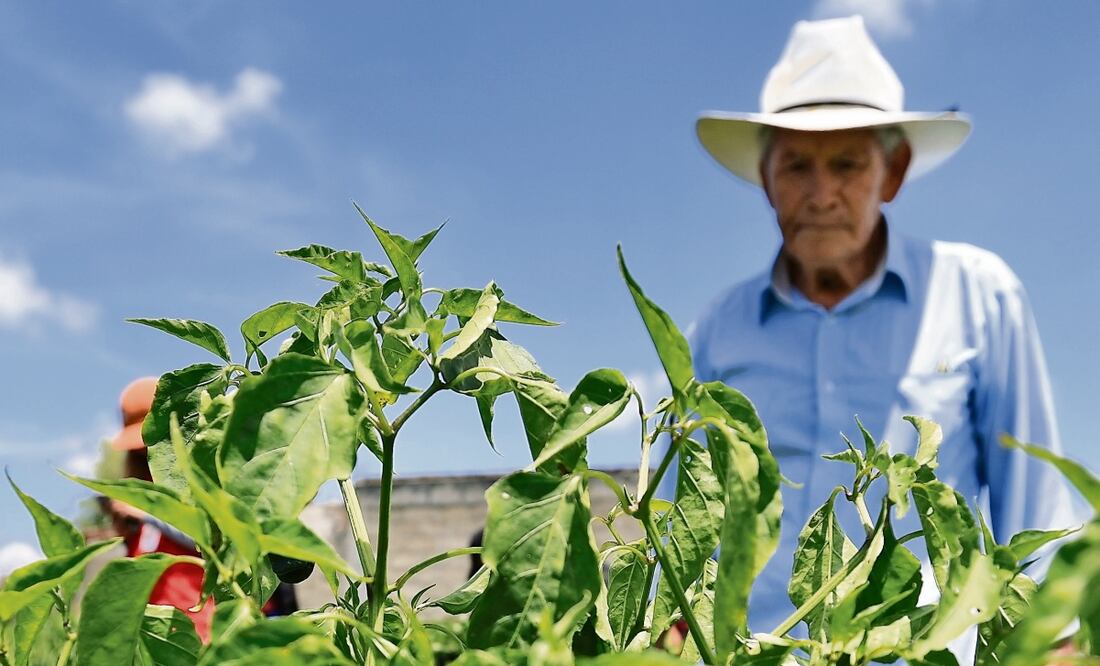 El coordinador del PRI anunció que solicitará la creación de una Comisión Especial para liquidar el Fobaproa y que el dinero del rescate bancario se destine a los estados, programas sociales y campo. Foto: Archivo EL UNIVERSAL