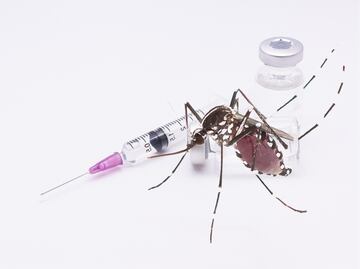 Salva tu viaje y tu vida de la fiebre amarilla