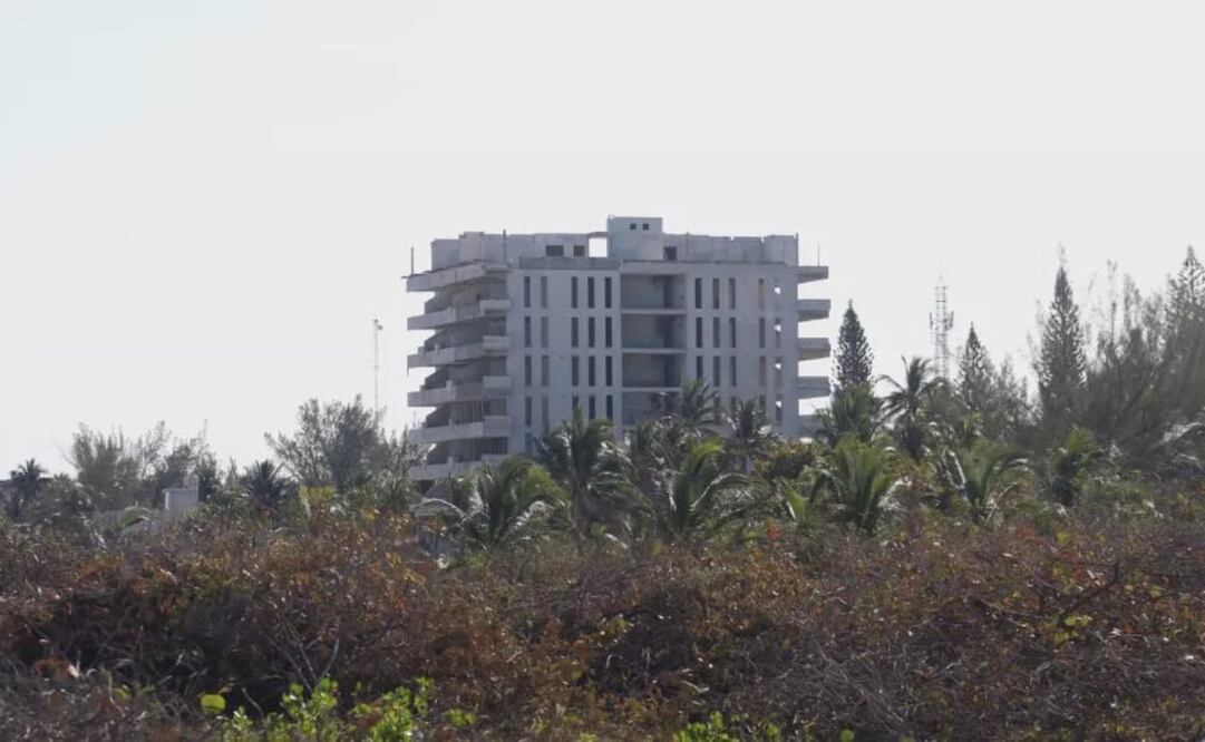 Profepa va contra desarrollos inmobiliarios en Yucatán (16/03/2025). Foto: Especial