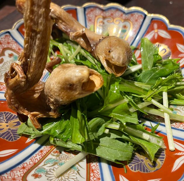 Foto: Tomada de X @noge_chinjuya