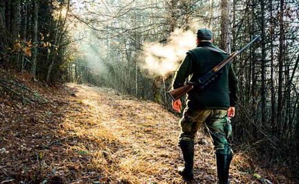 Salió a cazar un oso y murió aplastado... por el oso; cazador muere al caerle encima un ejemplar en Virginia