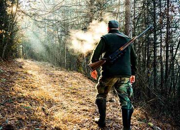 Salió a cazar un oso y murió aplastado... por el oso; cazador muere al caerle encima un ejemplar en Virginia