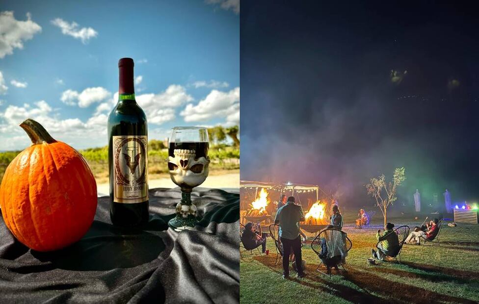 Fotos: Viñedos La Redonda